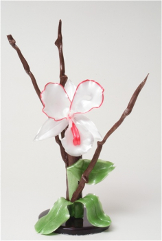 Zuckerziehen mit einem Profi. Zuckerorchidee